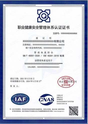 ISO45001职业健康安全管理体系证书样本350